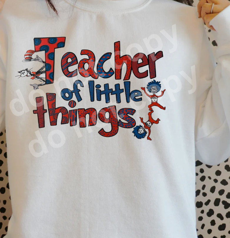 Teacher of The Little Things