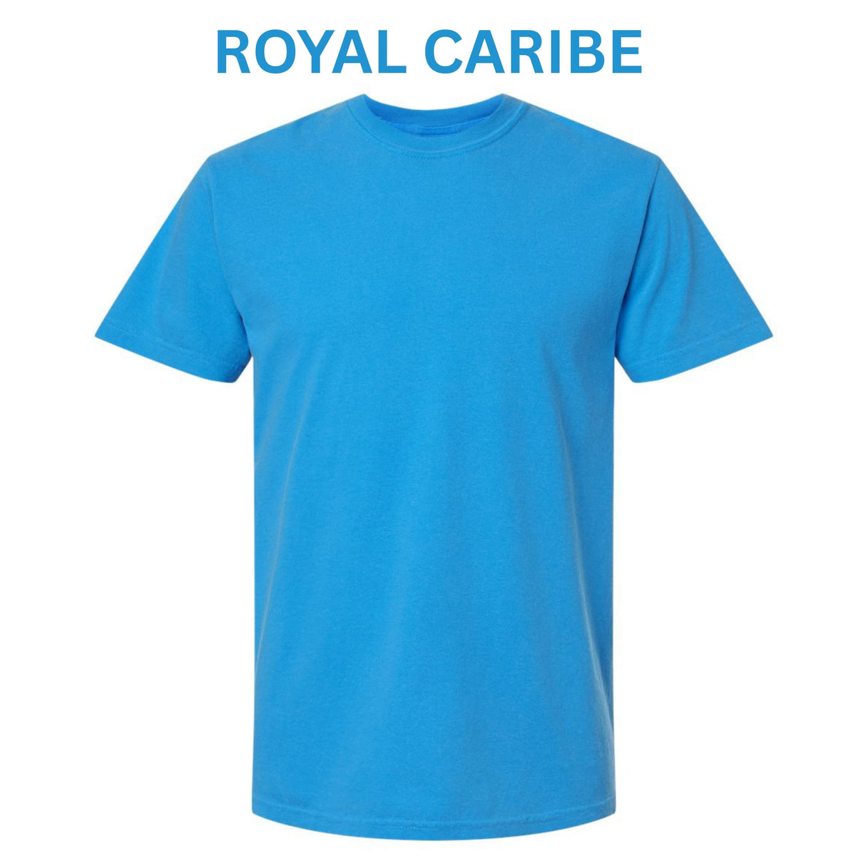 Youth Shirt - Comfort Colors