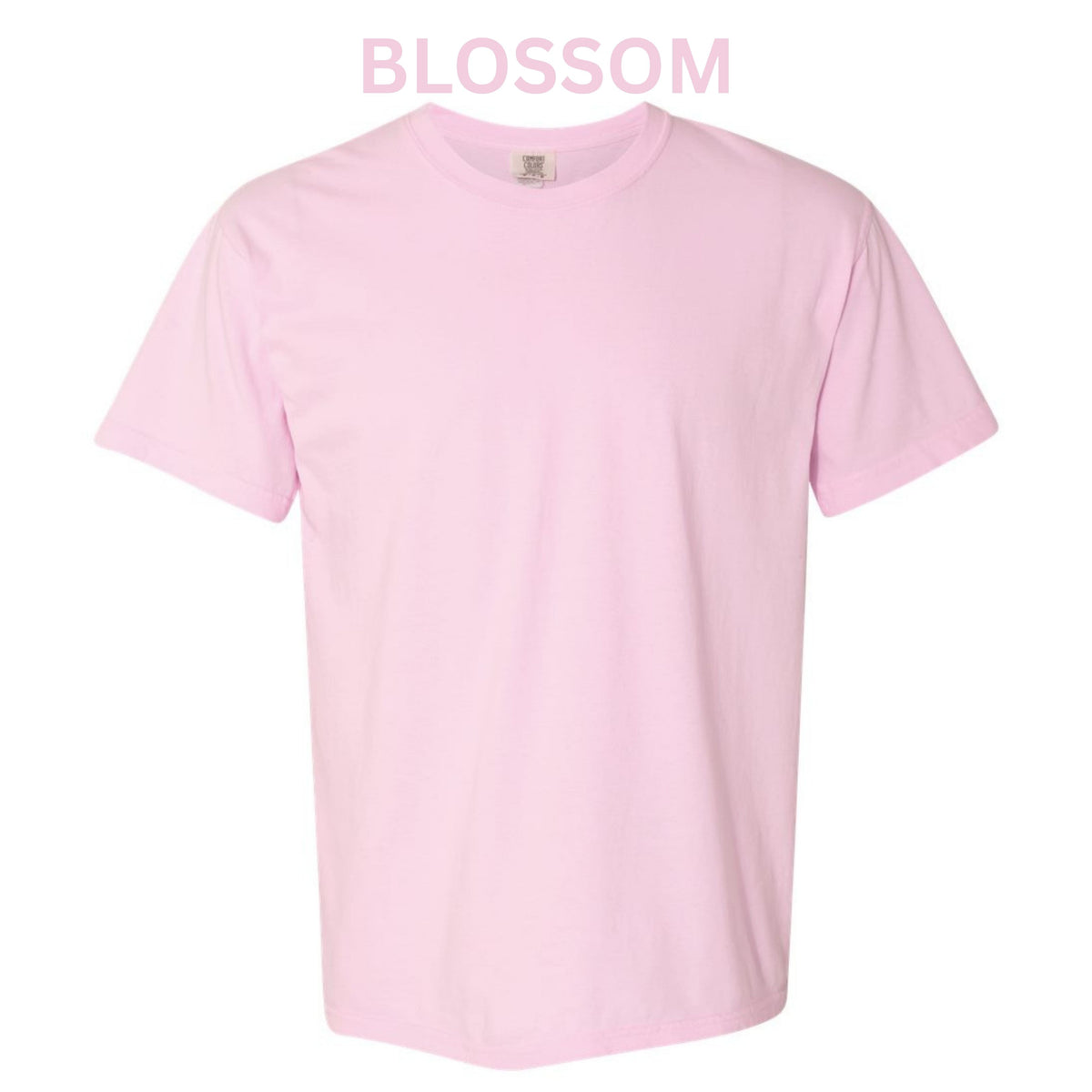 Youth Shirt - Comfort Colors