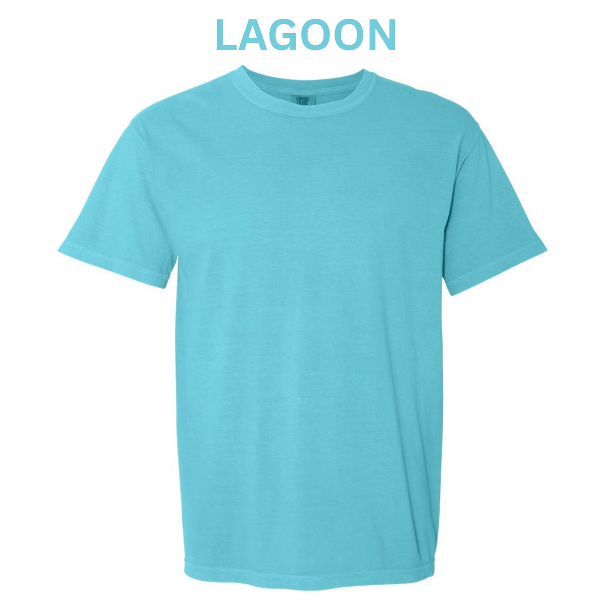 Youth Shirt - Comfort Colors