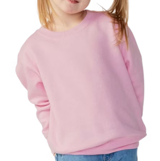 TODDLER SWEATSHIRT