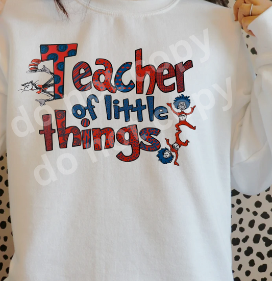 Teacher of The Little Things